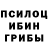 Псилоцибиновые грибы ЛСД Harald Stefanitsch